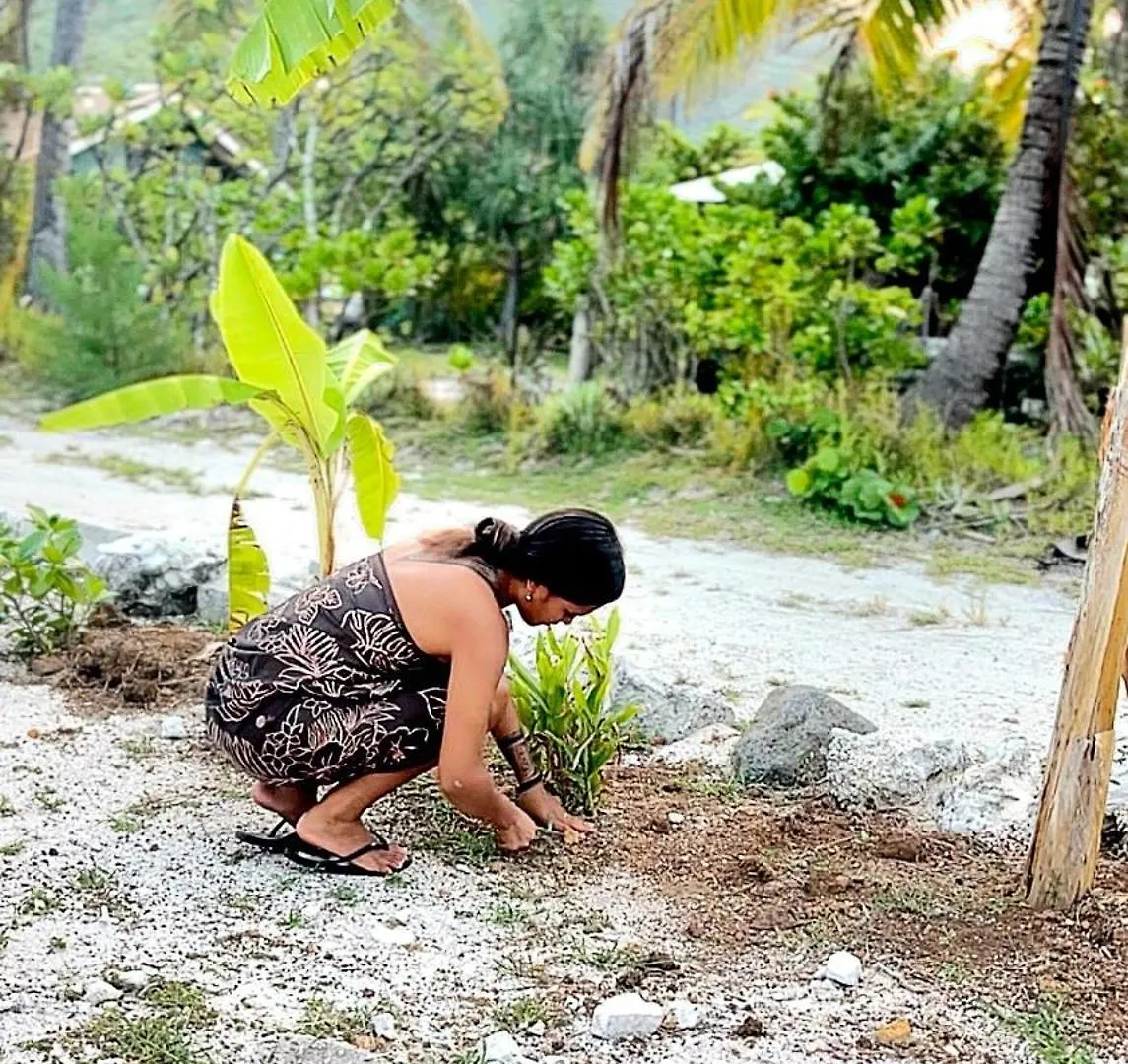 Διαμέρισμα Une Pause Au Soleil Et Proche De La Mer Moorea